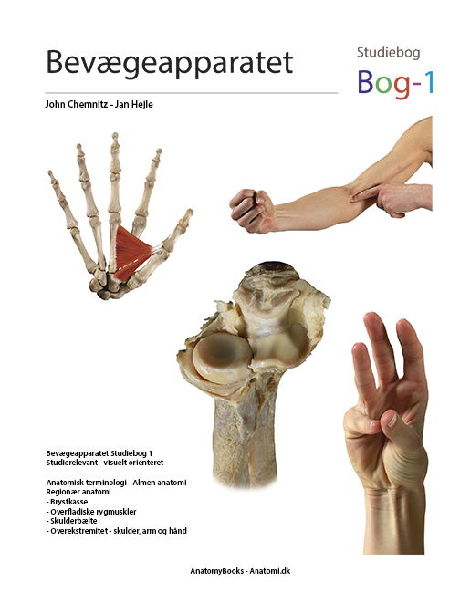 Cover for Jan Hejle John Chemnitz · Bevægeapparatet - studiebøger: Bevægeapparatet - Bog1 (Spiral Book) [1st edition] (2023)