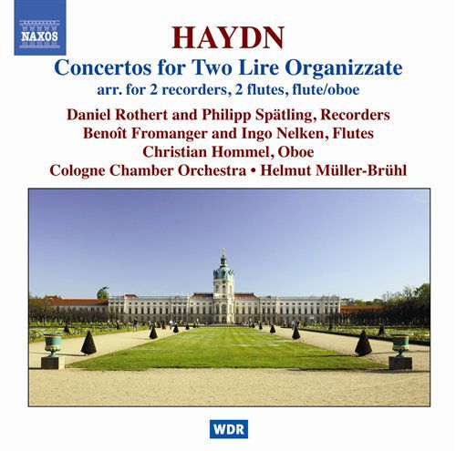Lyra Concertos - Franz Joseph Haydn - Musiikki - NAXOS - 0747313048175 - keskiviikko 4. helmikuuta 2009