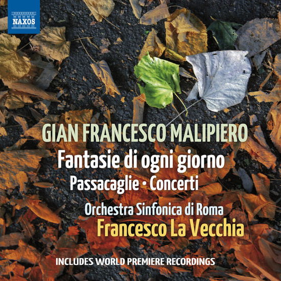 Cover for Parrino Francesco (violino) · Fantasie Di Ogni Giorno (CD) (2014)