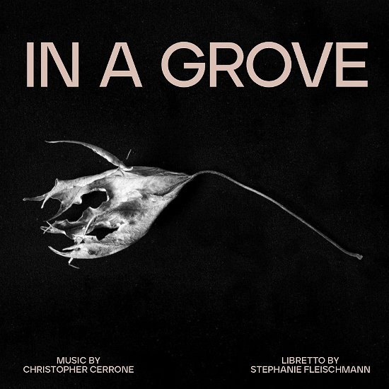 Cover for Christopher Cerrone · In A Grove (CD) (2023)