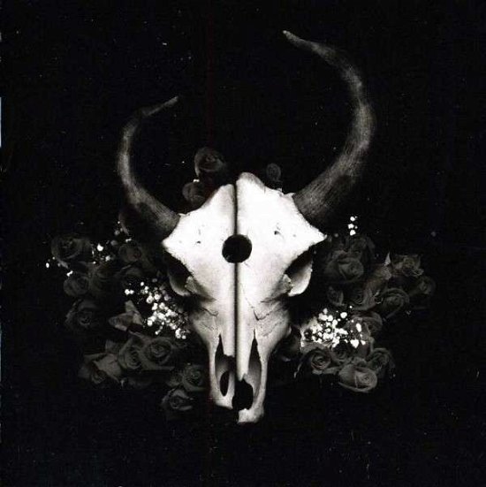 Cover for Demon Hunter · Summer of Darkness (CD) [Reissue edition] (2004)