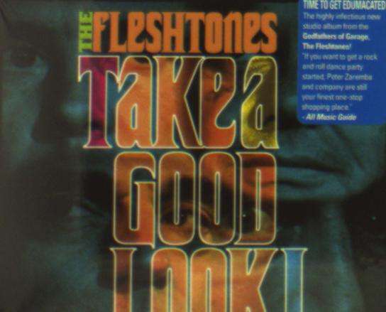 Cover for The Fleshtones · Take a good look ! (CD) (2016)