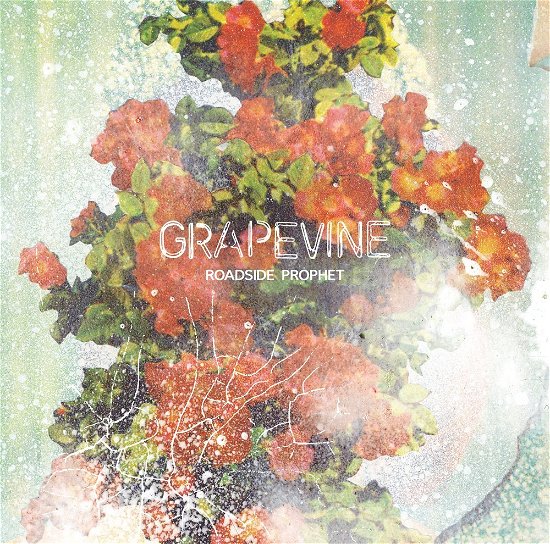 Cover for Grapevine · Roadside Prophet (CD) [Japan Import edition] (2017)