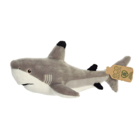 Cover for Eco Nation Blacktip Shark (MERCH) (2023)