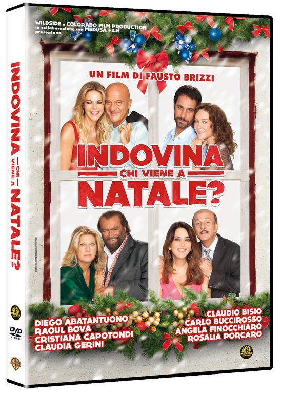 Cover for Indovina Chi Viene a Natale? (DVD) (2015)