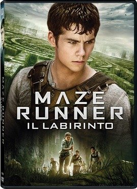 Maze Runner - Il Labirinto - Maze Runner - Il Labirinto - Filme - DISNEY - 8010312114175 - 2. November 2016