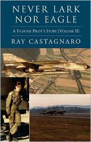 Never Lark Nor Eagle - Ray Castagnaro - Books - Xlibris Corporation - 9781401070175 - November 6, 2002