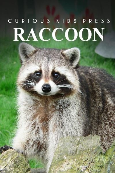 Curious Kids Press · Raccoon - Curious Kids Press (Taschenbuch) (2014)
