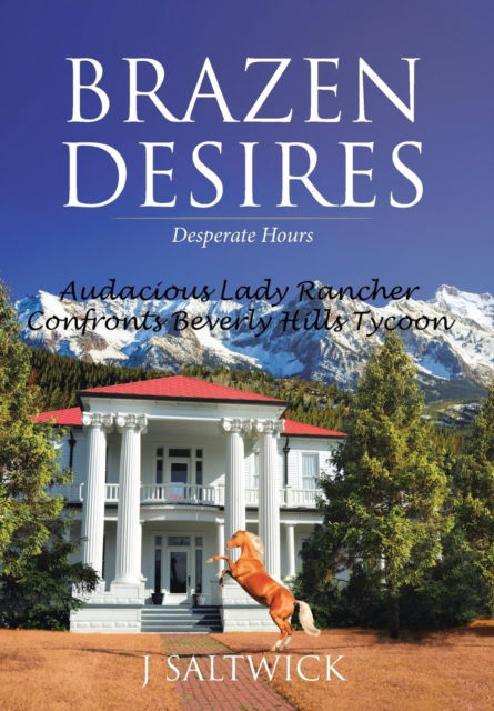 Brazen Desires - J Saltwick - Książki - Christian Faith Publishing, Inc. - 9781640798175 - 30 marca 2018