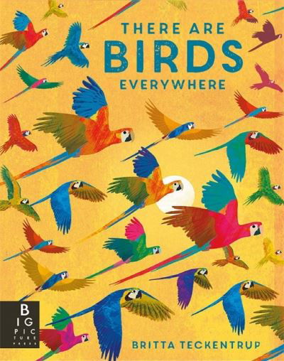 There are Birds Everywhere - Britta Teckentrup Everywhere - Camilla De La Bedoyere - Böcker - Templar Publishing - 9781787417175 - 24 februari 2022