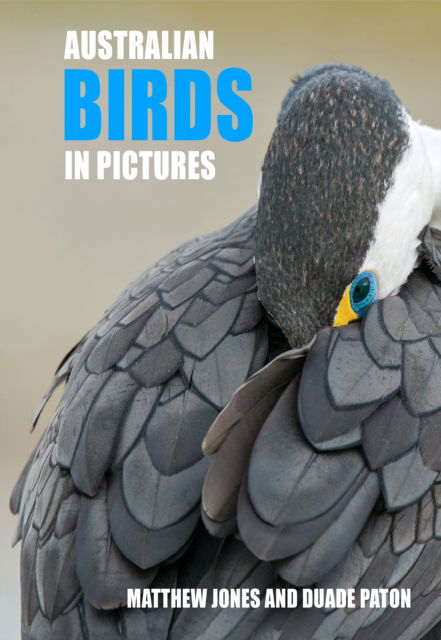 Cover for Mathew Jones · Australian Birds in Pictures: Compact edition (Hardcover Book) (2023)