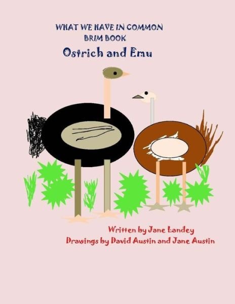 Ostrich and Emu - Jane Landey - Books - Createspace Independent Publishing Platf - 9781974316175 - August 9, 2017