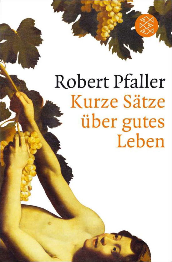 Fischer TB.18917 Pfaller.Kurze Sätze - Robert Pfaller - Książki -  - 9783596189175 - 