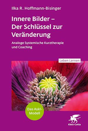 Cover for Hoffmann-bisinger:innere Bilder · Der S (Book)