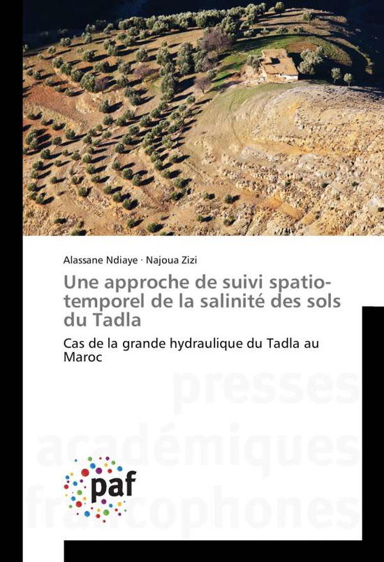 Cover for Ndiaye · Une approche de suivi spatio-tem (Book)