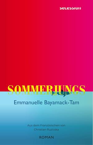 Cover for Emmanuelle Bayamack-Tam · Sommerjungs (Hardcover Book) (2022)