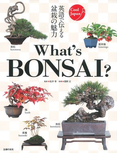 Whats Bonsai - Takashi Matsui - Livros - Shufunotomo Co. Ltd - 9784074189175 - 21 de novembro de 2017