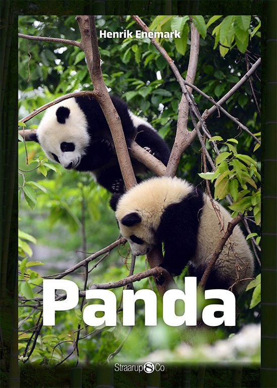 Cover for Henrik Enemark · Maxi: Panda (Hardcover Book) [1. Painos] (2019)
