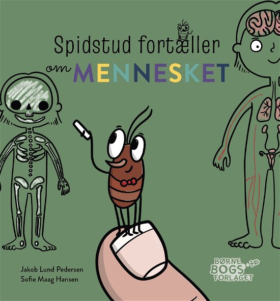 Cover for Jakob Lund Pedersen · Spidstud fortæller: Spidstud fortæller om mennesket (Hardcover Book) [1º edição] (2023)