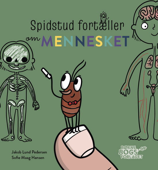 Cover for Jakob Lund Pedersen · Spidstud fortæller: Spidstud fortæller om mennesket (Hardcover Book) [1th edição] (2023)