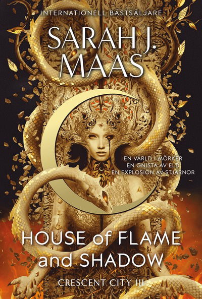 Cover for Sarah J. Maas · House of Flame and Shadow (Svensk utgåva) (Paperback Book) (2025)