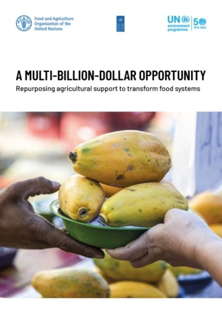Cover for Food and Agriculture Organization · A multi-billion-dollar opportunity: re-purposing agricultural support to transform food systems (Paperback Book) (2021)