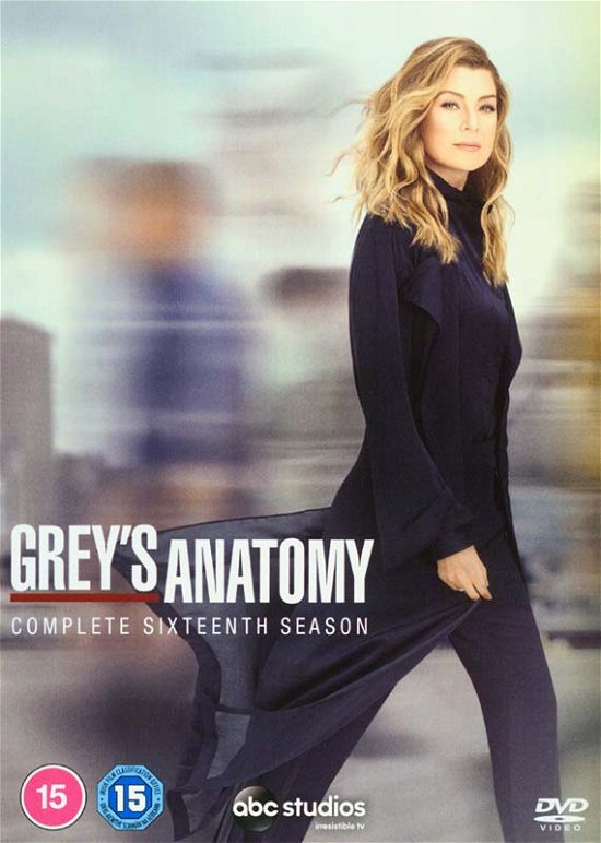 Cover for Greys Anatomy Season 16 (DVD) (2020)