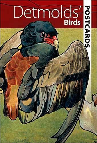 Cover for Dover · Detmolds' Birds - Dover Postcards (Postcard) (2011)