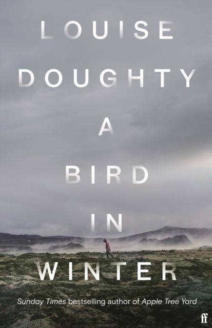 A Bird in Winter: 'Nail-bitingly tense and compelling' Paula Hawkins - Louise Doughty - Bøger - Faber & Faber - 9780571322176 - 31. august 2023