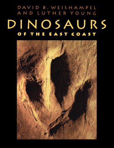 Cover for Weishampel, David B. (Johns Hopkins University School of Medicine) · Dinosaurs of the East Coast (Paperback Bog) (1998)