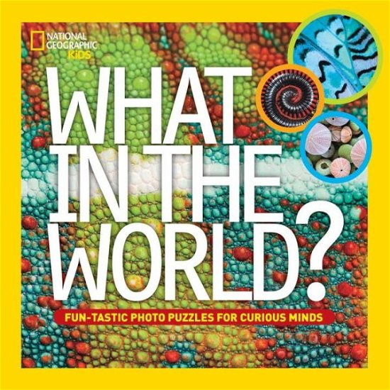 What in the World? - What in the World - National Geographic Kids - Bøger - National Geographic Kids - 9781426315176 - 11. marts 2014