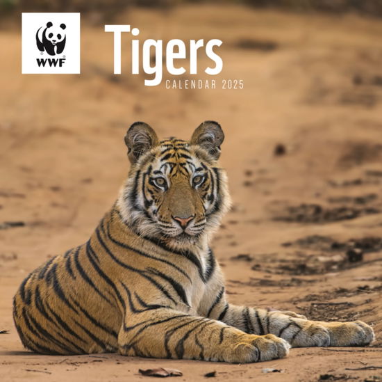 Cover for Carousel Calendars · WWF Tigers Square Wall Calendar 2025 (Paperback Book) (2024)