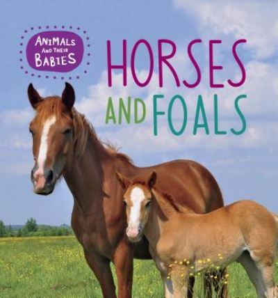 Horses and Foals - Annabelle Lynch - Książki - SMART APPLE MEDIA - 9781625884176 - 2017