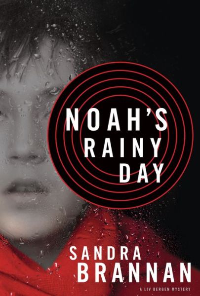 Cover for Sandra Brannan · Noah's Rainy Day (Paperback Book) (2013)