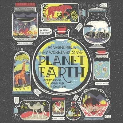Cover for Rachel Ignotofsky · The Wondrous Workings of Planet Earth Lib/E (CD) (2019)