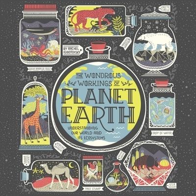 The Wondrous Workings of Planet Earth Lib/E - Rachel Ignotofsky - Music - HighBridge Audio - 9781665129176 - January 10, 2019