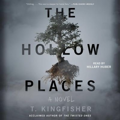 Cover for T. Kingfisher · The Hollow Places (CD) (2020)