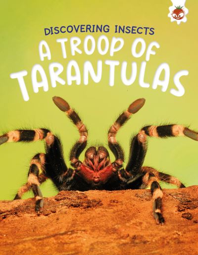 Cover for Rebecca Storm · Discovering Insects: A Troop of Tarantulas - Discovering Insects (Pocketbok) (2025)