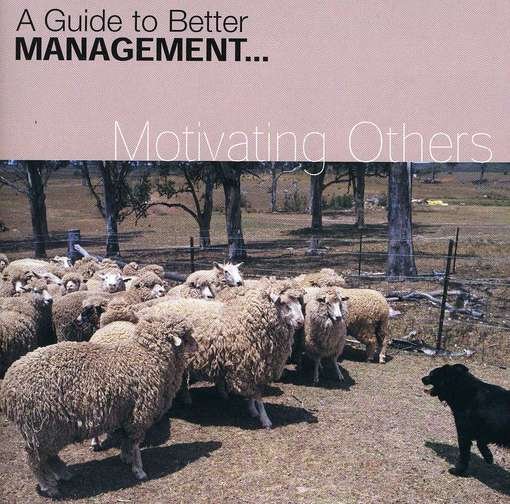 Cover for Di Kamp · Motivating Others (CD) (2012)