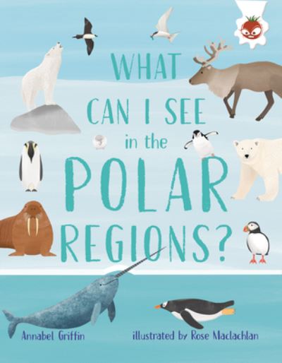 Cover for Emily Kington · What Can I See in the Polar Regions? (Book) (2021)