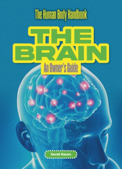 Cover for Sarah Eason · The Brain: An Owner's Guide - The Human Body Handbook (Paperback Book) (2025)