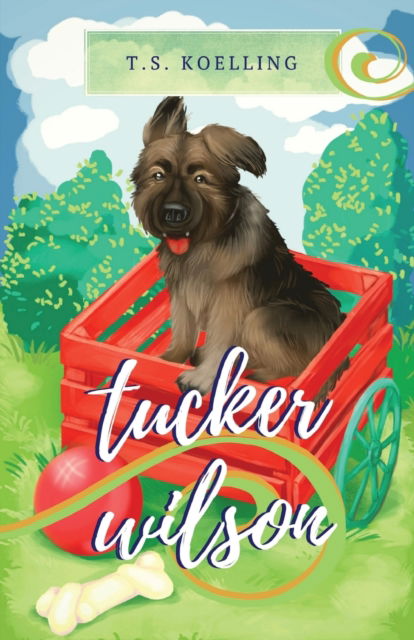 Cover for T.S. Koelling · Tucker Wilson (Paperback Book) (2017)