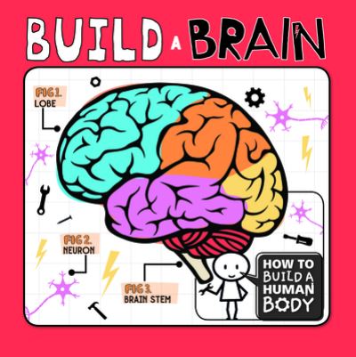 Cover for Kirsty Holmes · Build a Brain (Hardcover Book) (2020)