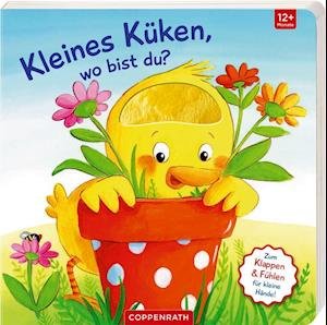 Cover for Sabine Kraushaar · Mein erstes Gucklock-Fühlbuch: Kleines Küken, wo bist du? (Board book) (2022)