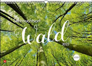 Cover for Delius Klasing Vlg GmbH · Sehnsuchtsort Wald 2023 (Calendar) (2022)