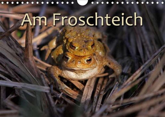 Cover for Berg · Am Froschteich (Wandkalender 2021 (Buch)