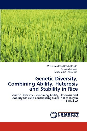 Cover for Mugalodi S. Ramesha · Genetic Diversity, Combining Ability, Heterosis and Stability in Rice: Genetic Diversity, Combining Ability, Heterosis and Stability for Yield Contributing Traits in Rice (Oryza Sativa L.) (Pocketbok) (2012)