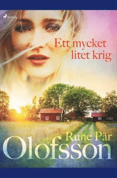 Cover for Rune Pär Olofsson · Ett mycket litet krig (Bok) (2019)
