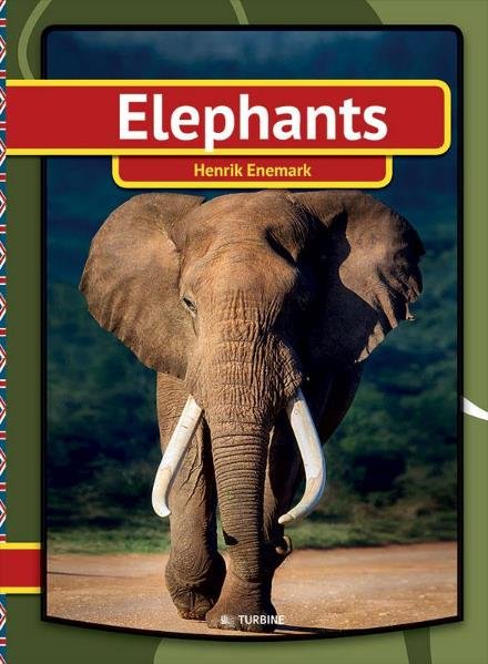 Cover for Henrik Enemark · My first book: Elephants (Hardcover bog) [1. udgave] (2017)