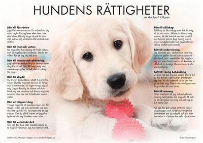 Hundens rättigheter - poster - Anders Hallgren - Other - AH BOOKS Publishing AB - 9789163906176 - January 10, 2017